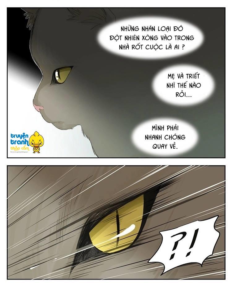 cứu mạng ! loài mèo thống trị thế giới rồi ! chapter 24 10