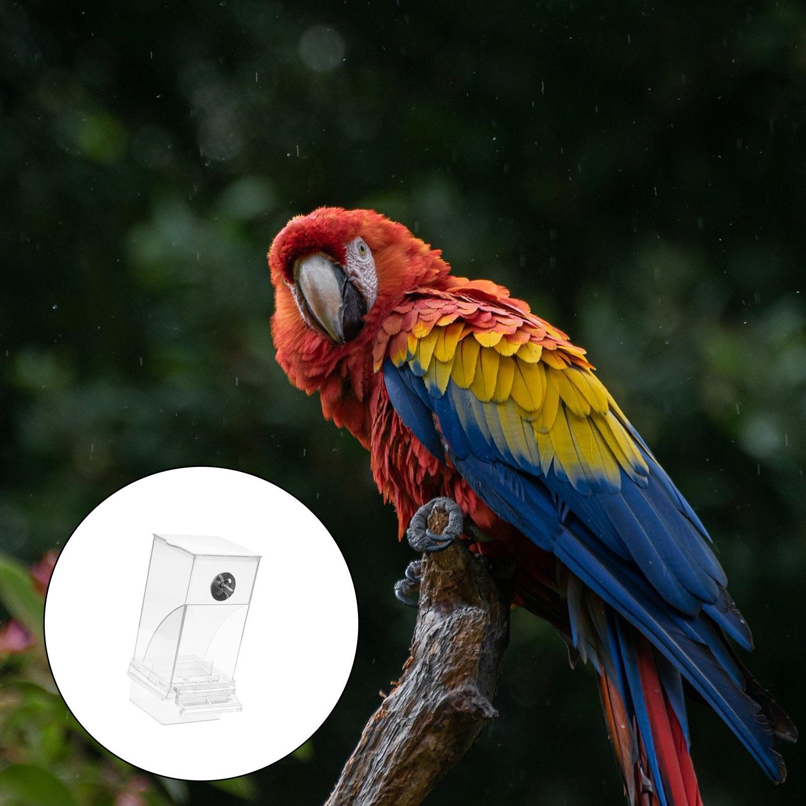 Seed Feeding Automatic Container Box Parrot Feeder Pet Bird Cage Food Feeder