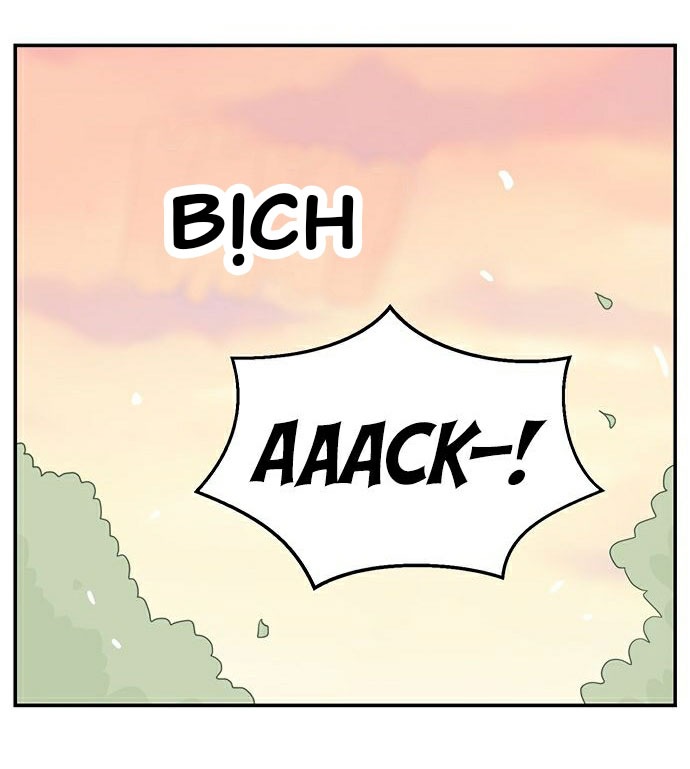 hội chứng nam phụ chapter 16 11