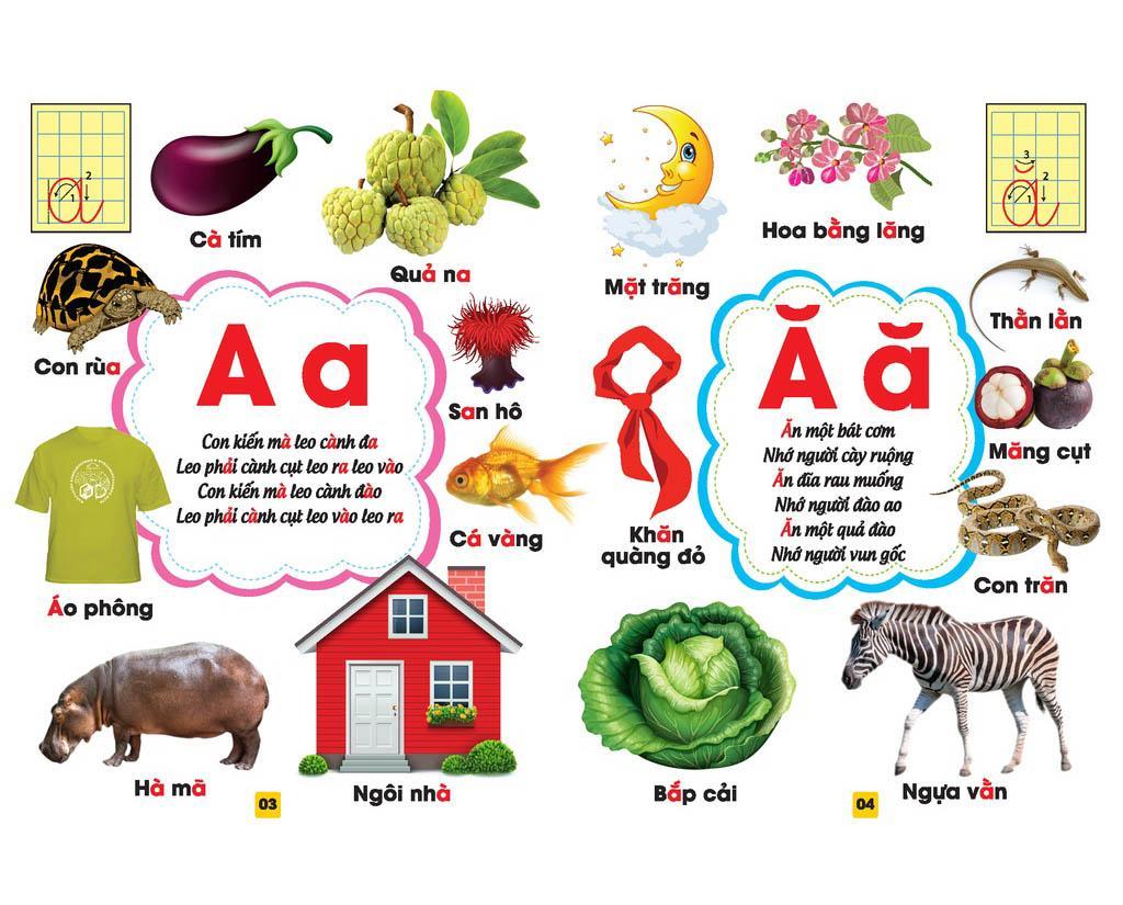 Từ Điển Bằng Tranh - Bảng Chữ Cái Tiếng Việt (Bìa Cứng)