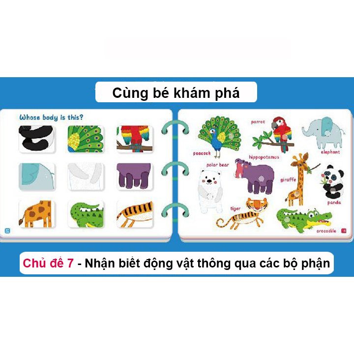 Flashcard học liệu bóc dán 17 chủ đề Montessori