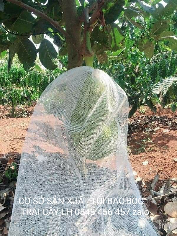 50 cái TÚI BAO, BỌC MÍT THÁI LƯỚI TỐT 50*70 -TÚI BỌC TRÁI CÂY