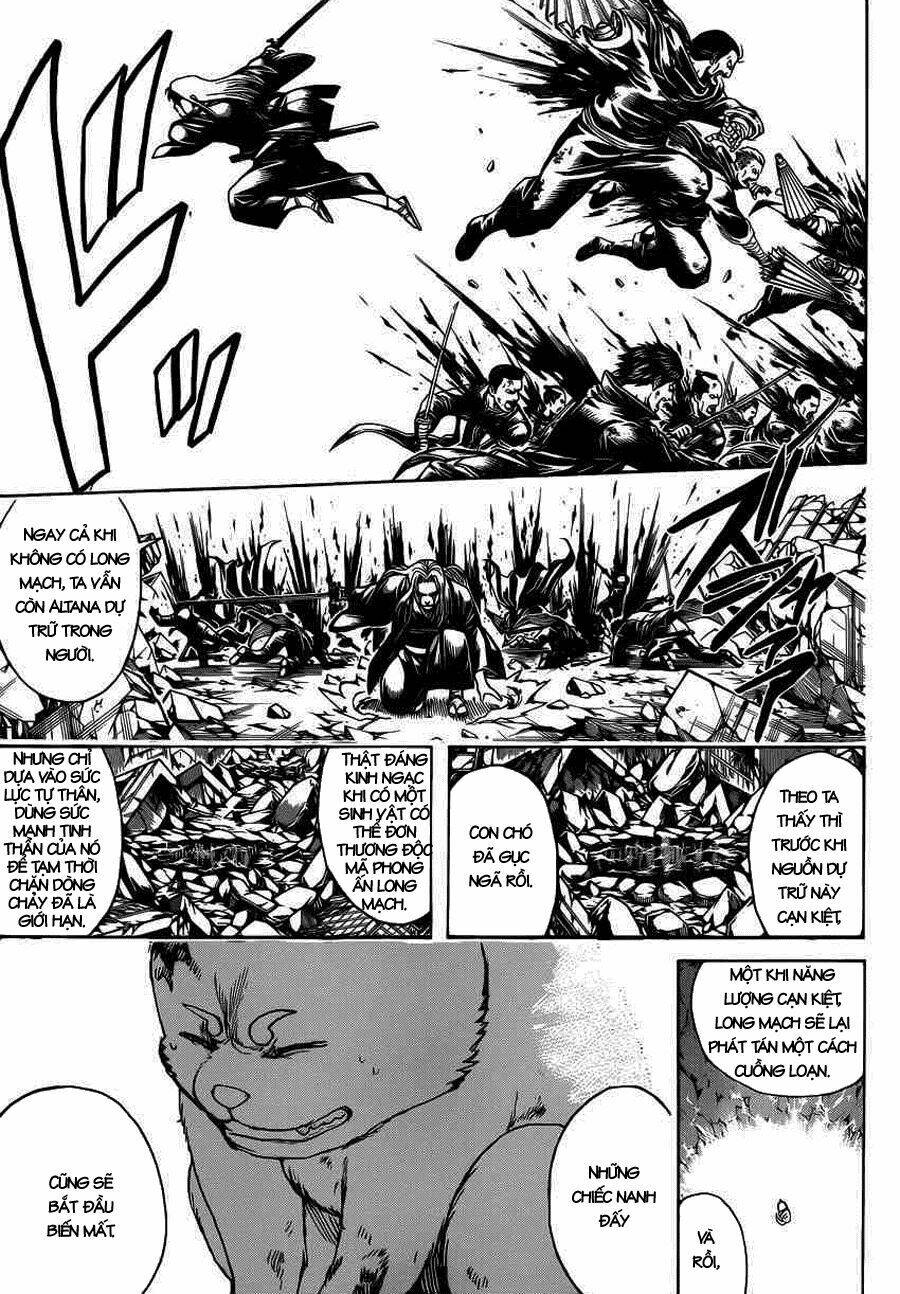 gintama - linh hồn bạc chapter 663 11