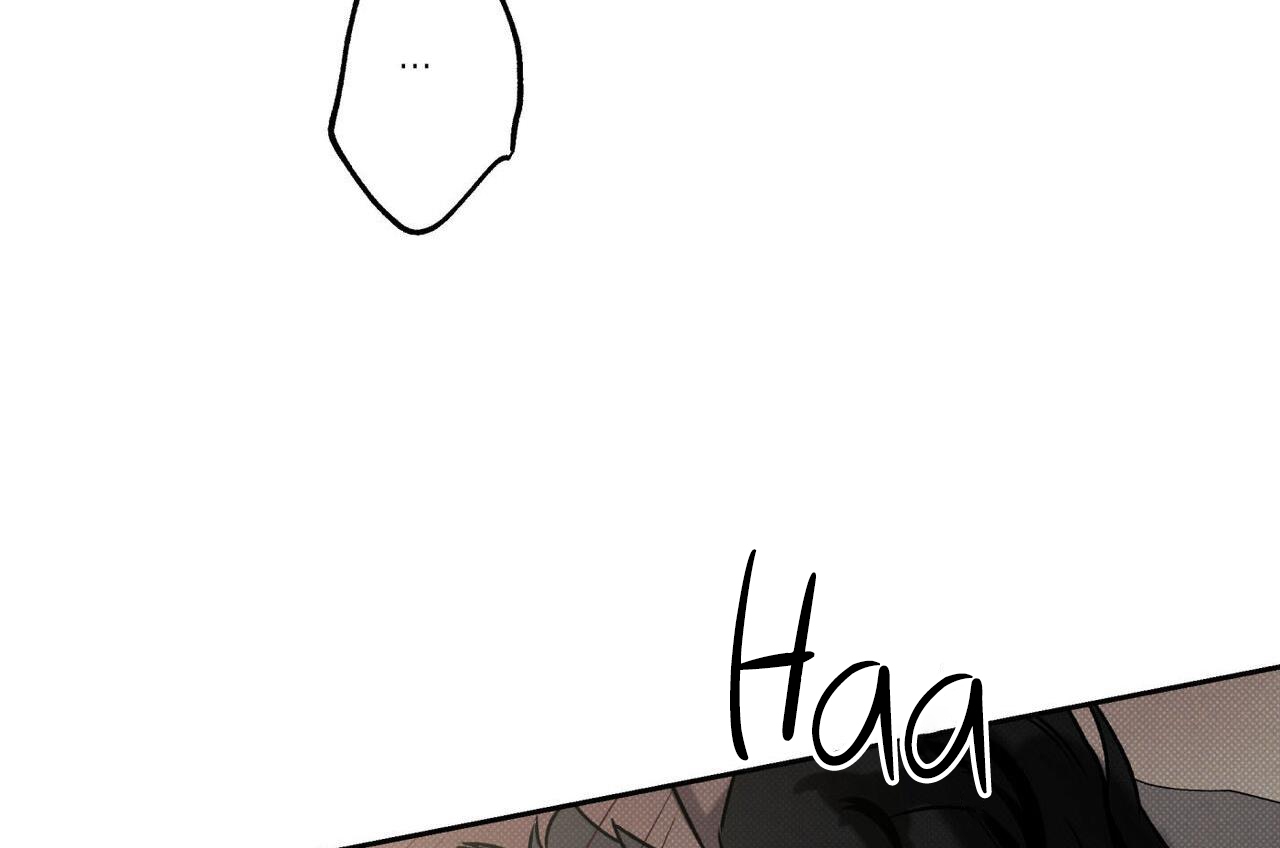 chàng giao pizza và gold palace chapter 45 246