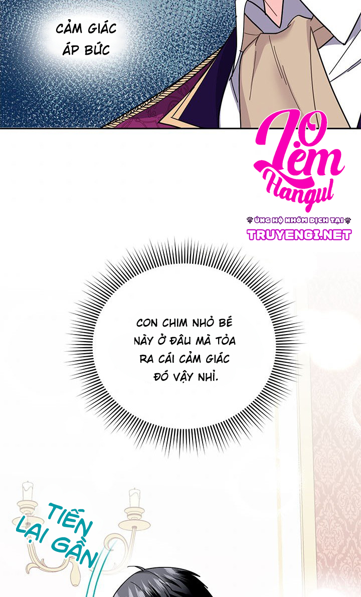 công chúa của loài chim chapter 14 5