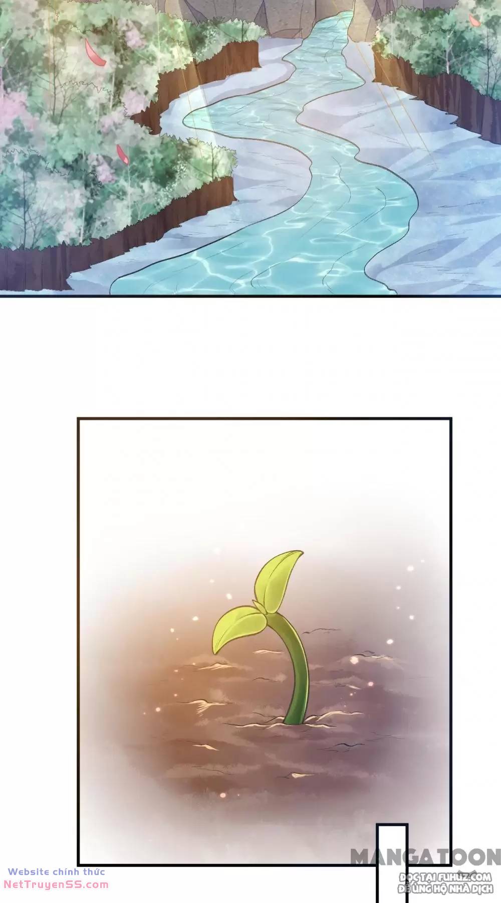 Tôi Sống Trên Hoang Đảo Cùng Các Em Gái chapter 242 35