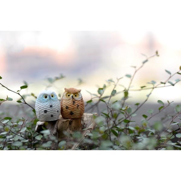 KHO-HN * Mô hình chim cú mèo thân tròn đẹp trang trí tiểu cảnh, bonsai, DIY