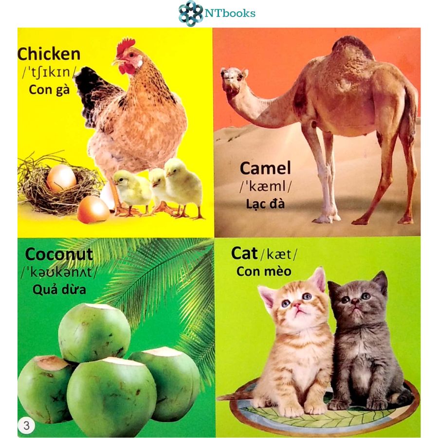 Sách 101 Từ đầu tiên: Bảng chữ cái Tiếng Anh