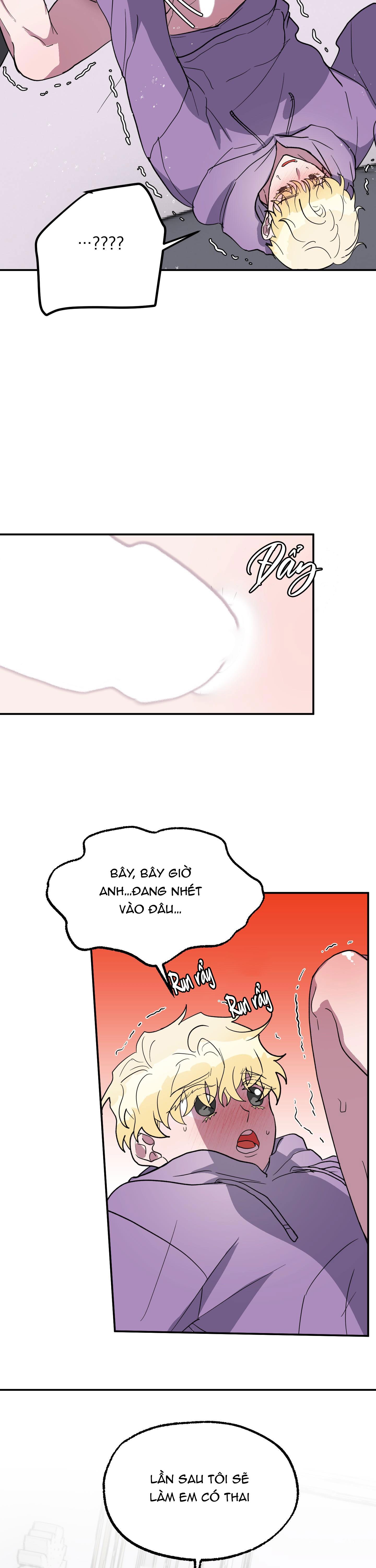 cá mập và cô dâu thỏ chapter 2 24