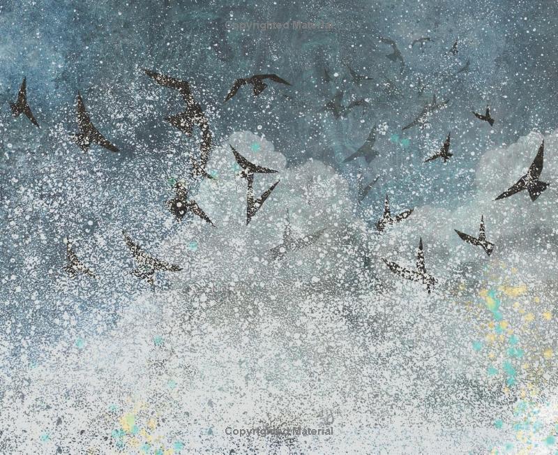 Sách ngoại văn: Numeria And The Hurricane - Inspired By A True Migration Story