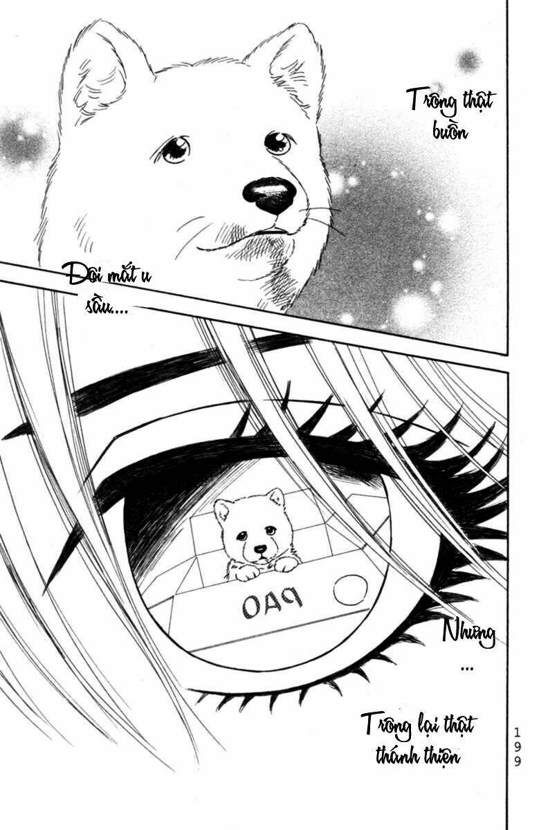 deep love - pao no monogatari chapter 6 30