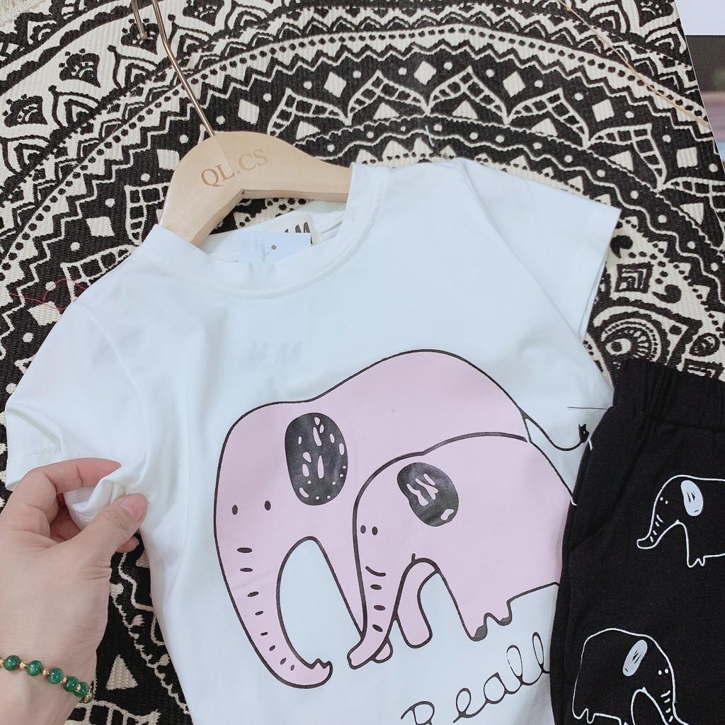 BỘ COTTON CỘC TAY SIÊU ĐẸP CHO BÉ GÁI 10-25kg