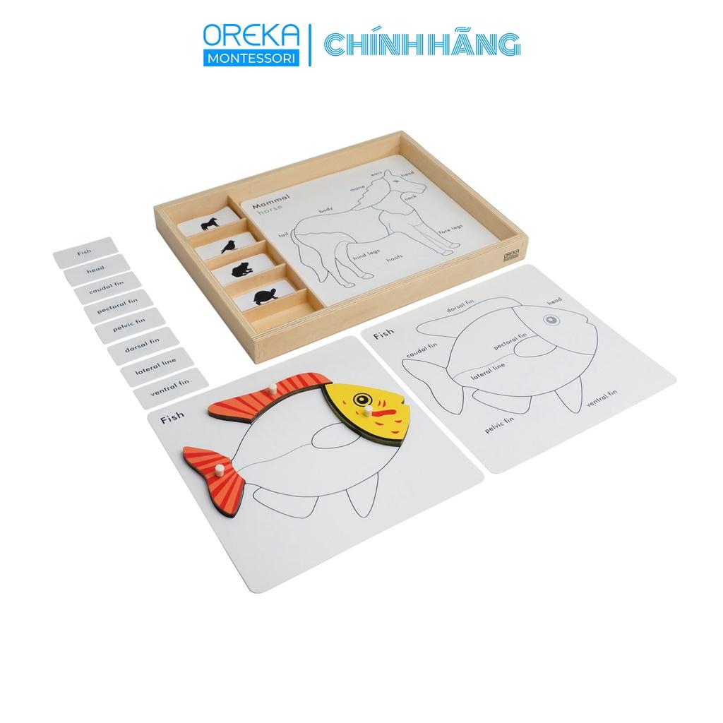 Đồ chơi trẻ em Oreka Montessori Thẻ động vật: Các bộ phận của động vật - 0660100
