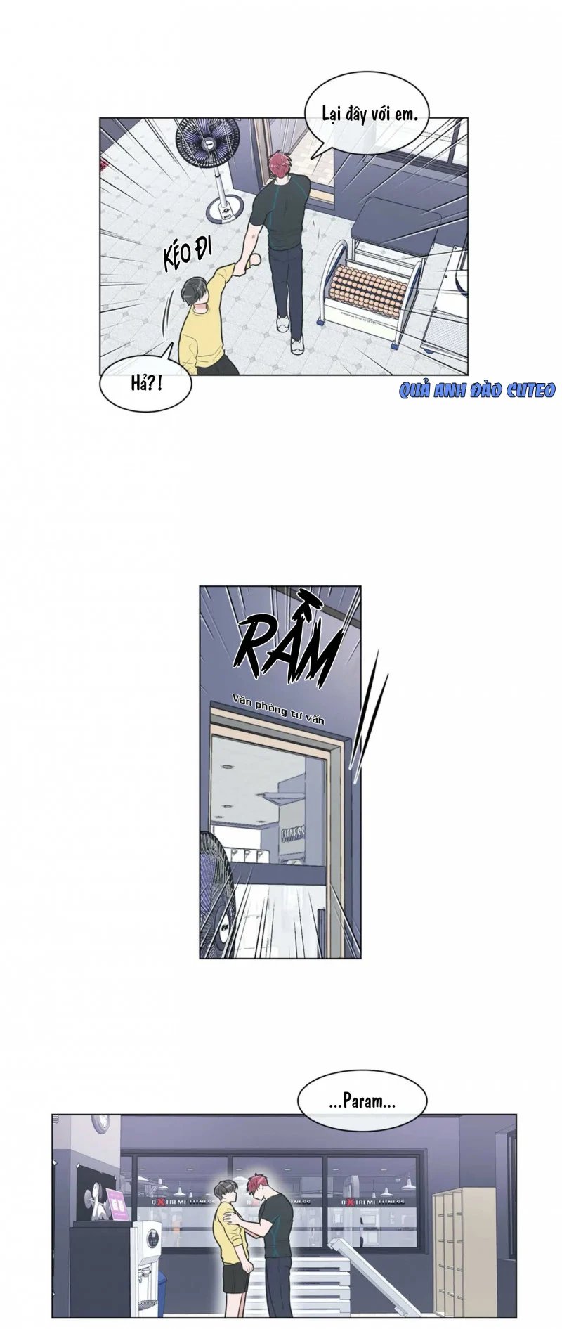 anti p.t chapter 52.5 1