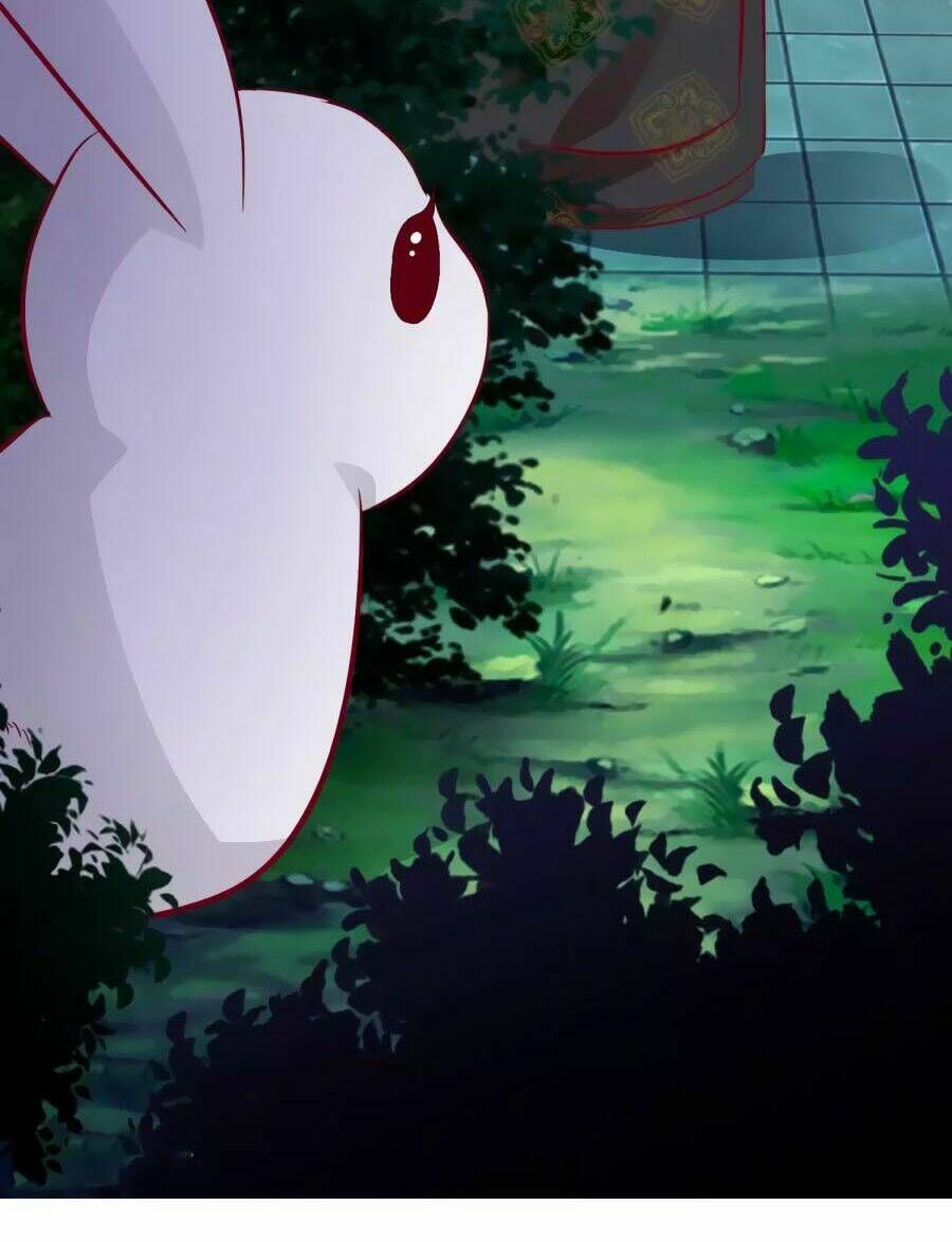 thỏ yêu tiểu vương phi chapter 35 24