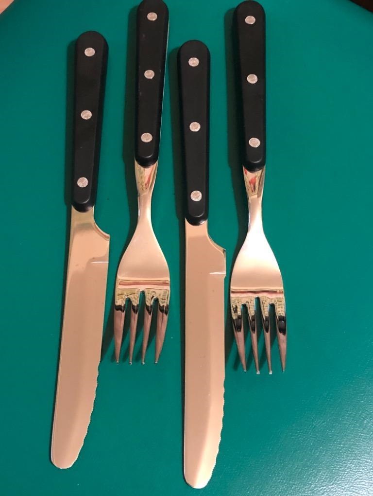 Bộ dao & nĩa inox Echo - Cán Phenolic