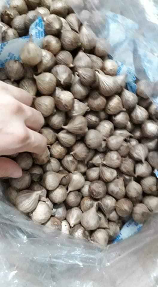 Combo 3 túi tỏi đen KOCHI cô đơn cao cấp 250g