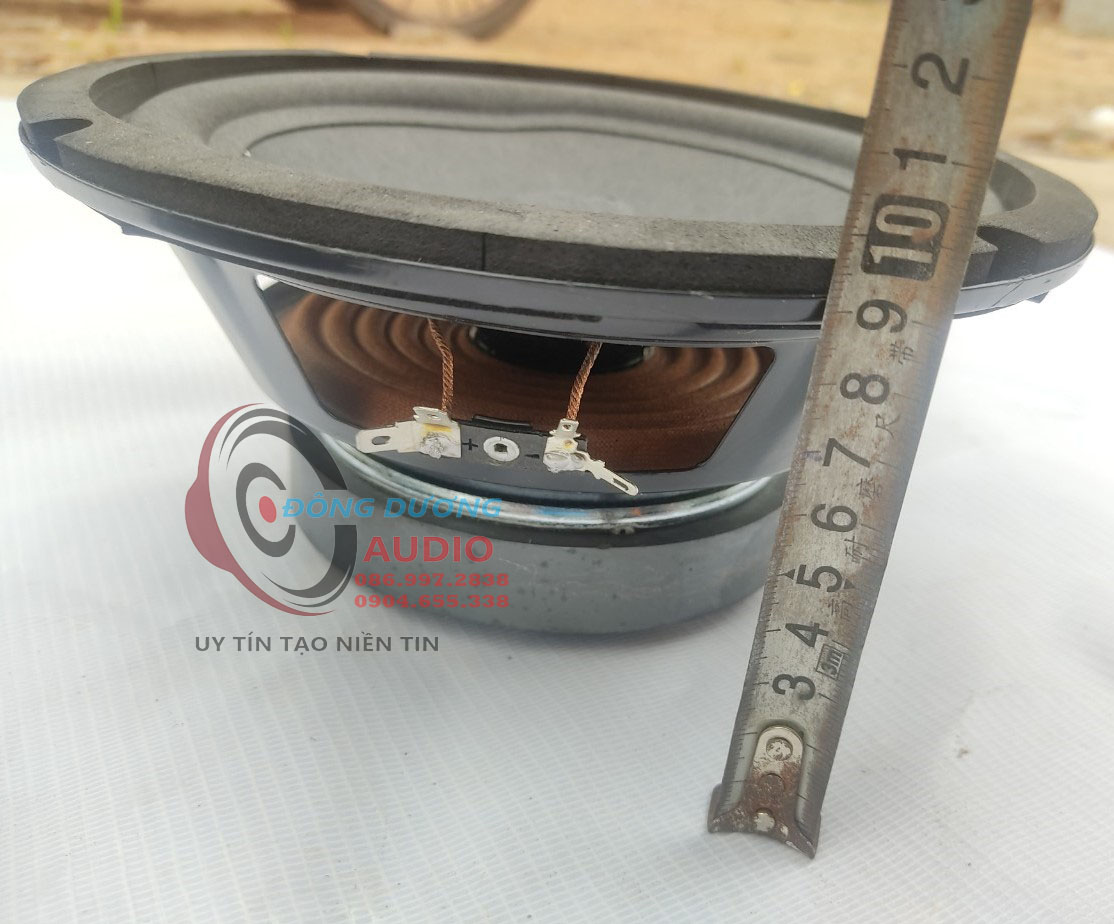 GIÁ 1 CỦ BASS 20 TỪ ĐƠN 120 - COIL 36 - GÂN MÚT ĐEN - XƯƠNG SẮT - CÔNG SUẤT 250W - BẢO HÀNH 6 THÁNG