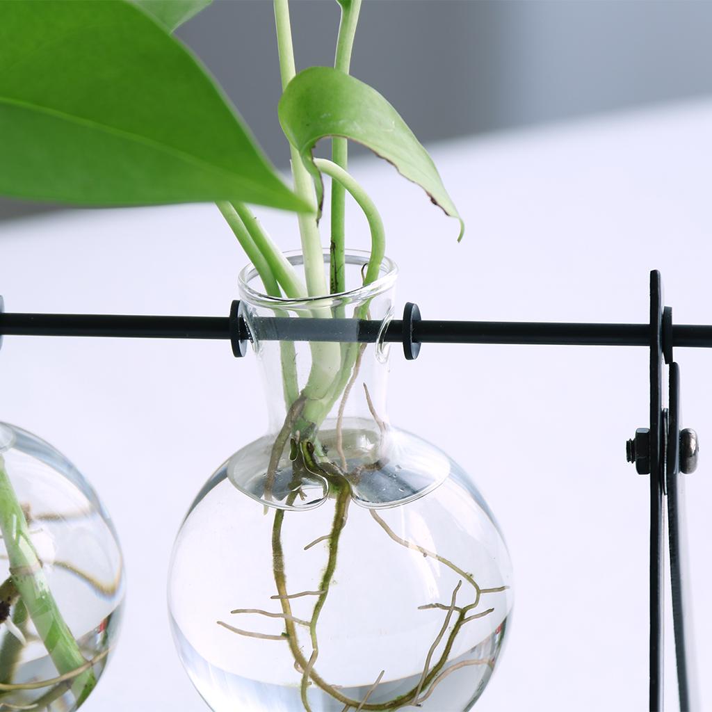 Ball Shape Glass Flower vase Hydroponic Bottle Terrarium With Iron Stand