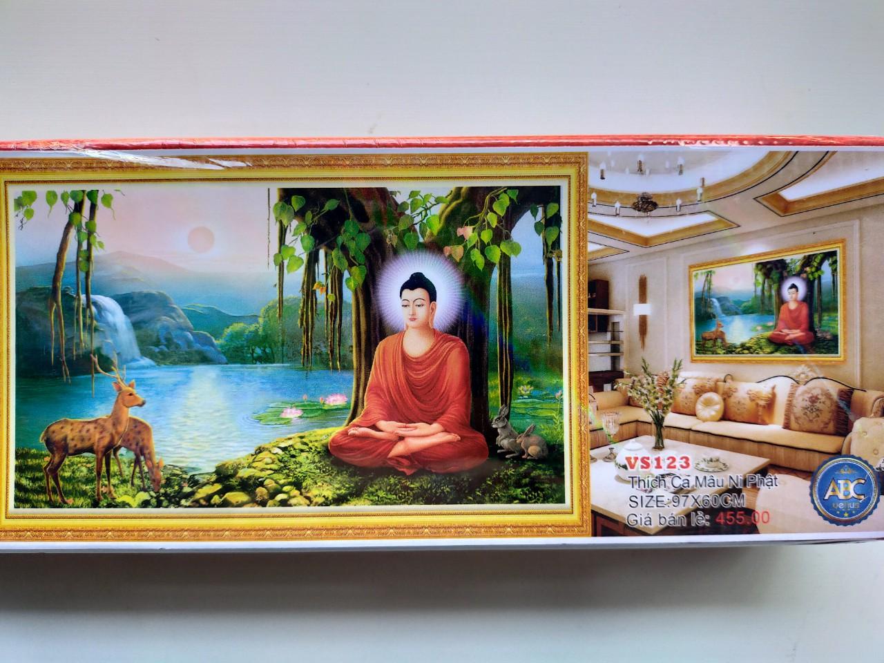 Tranh đính đá thích ca mô ni phật VS123 97 x 60 cm chưa đính