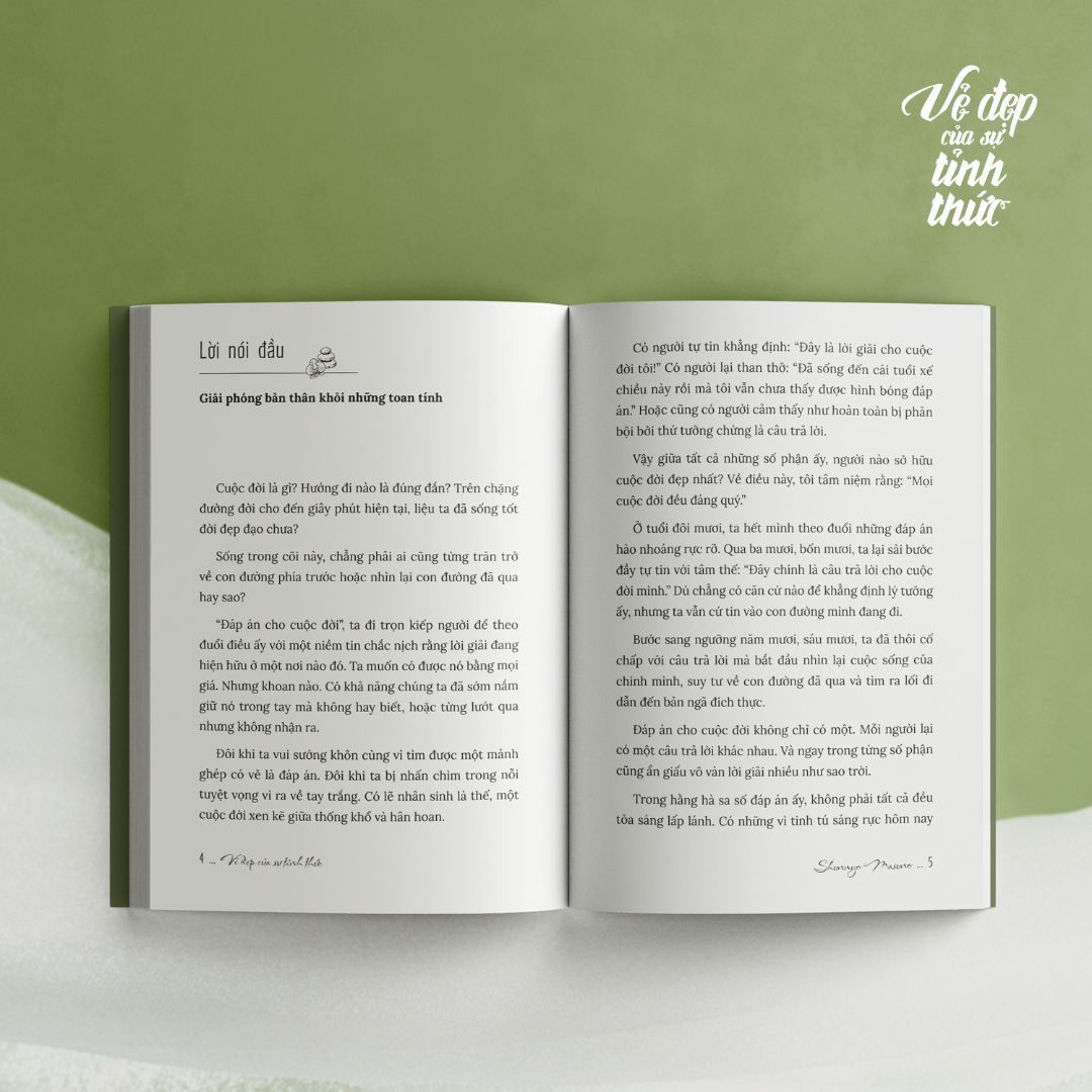 Sách - Vẻ Đẹp Của Sự Tỉnh Thức