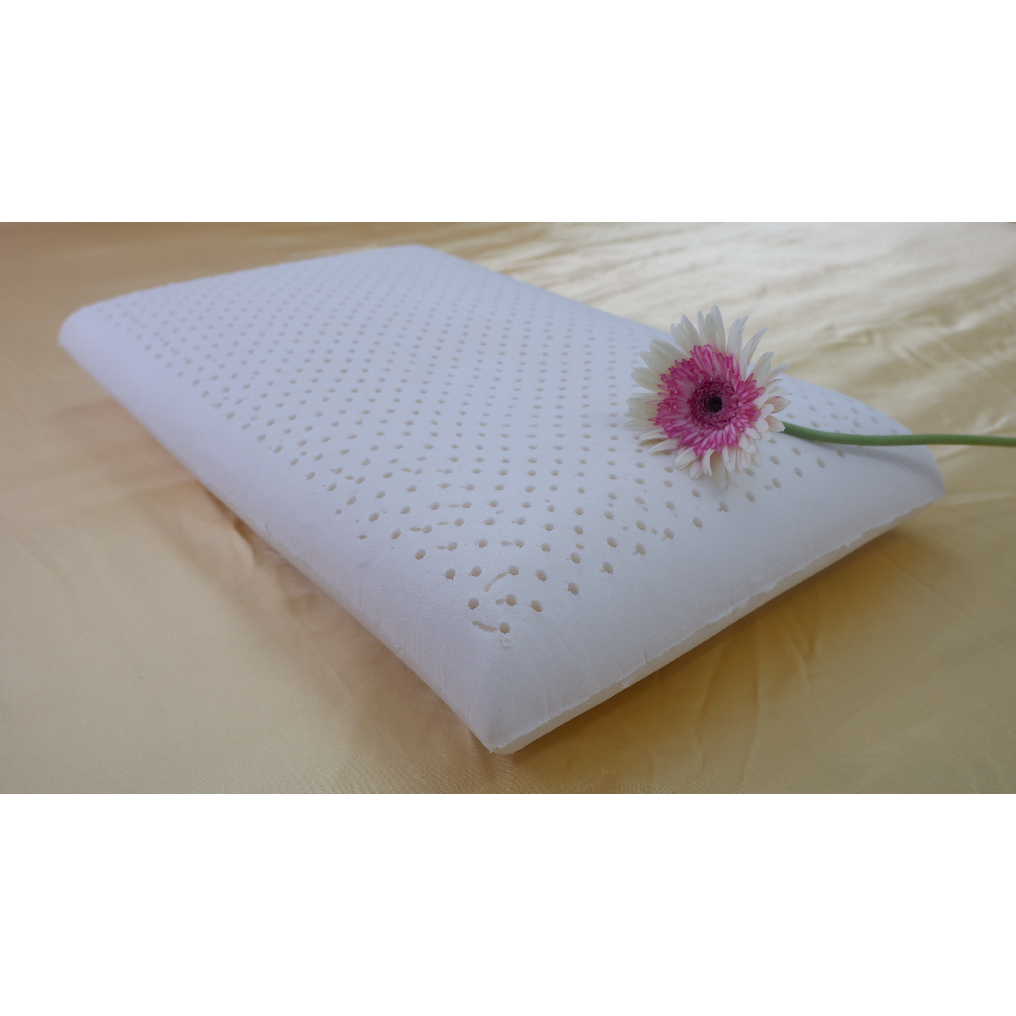 Gối cao su thiên nhiên Gold Kiddy kích thước 40*60*14