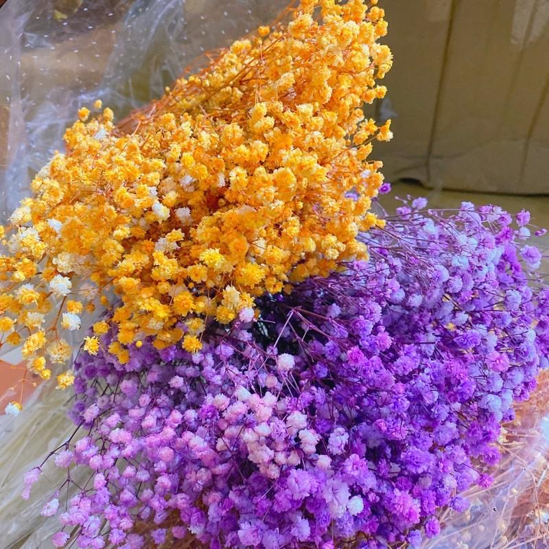 Hoa Baby Bloom Gypsophila hoa khô trang trí nhà cửa, văn phòng