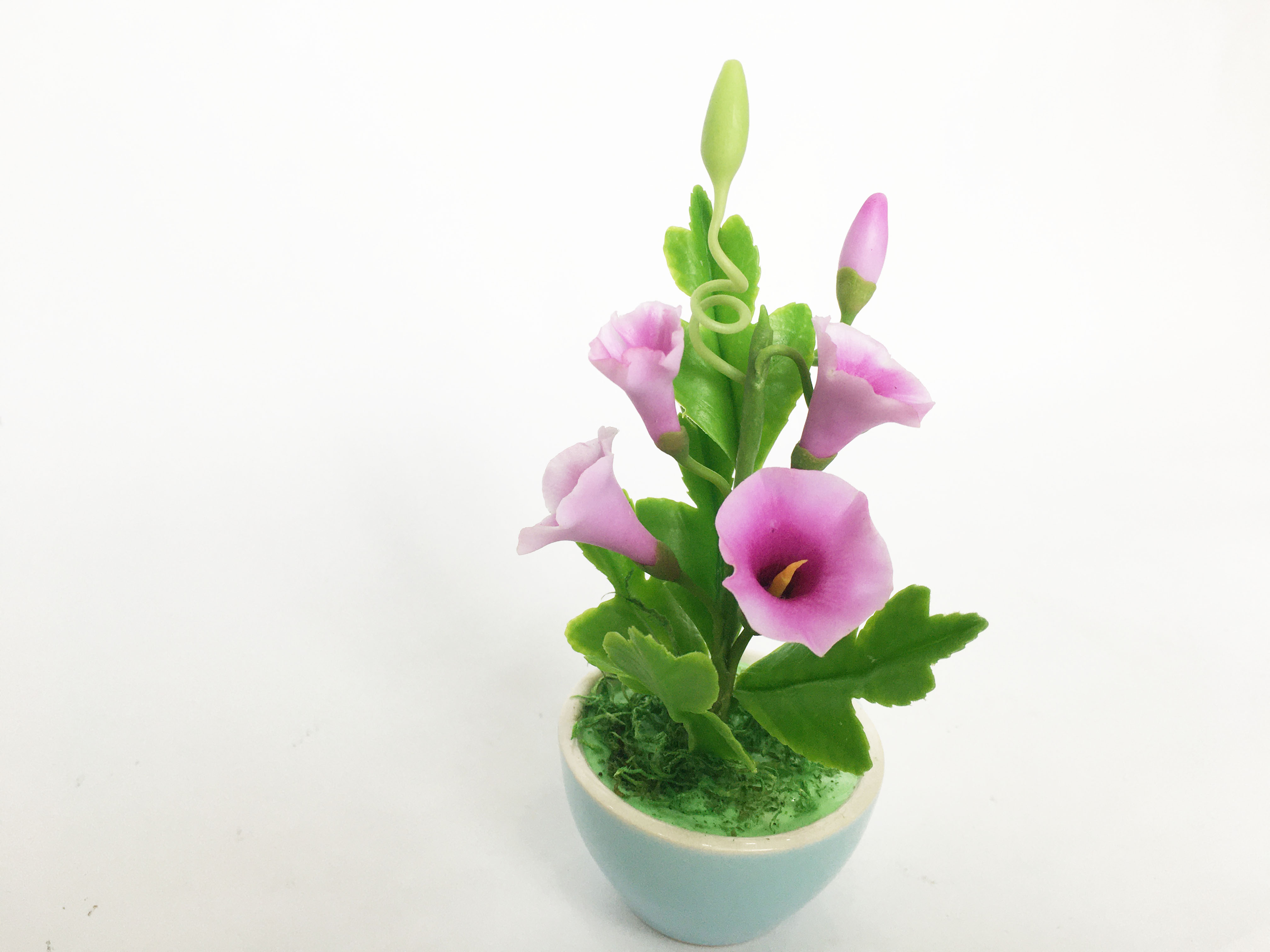Chậu hoa đất sét mini- Bụi bìm bịp/bìm bìm trong cốc - Quà tặng trang trí handmade