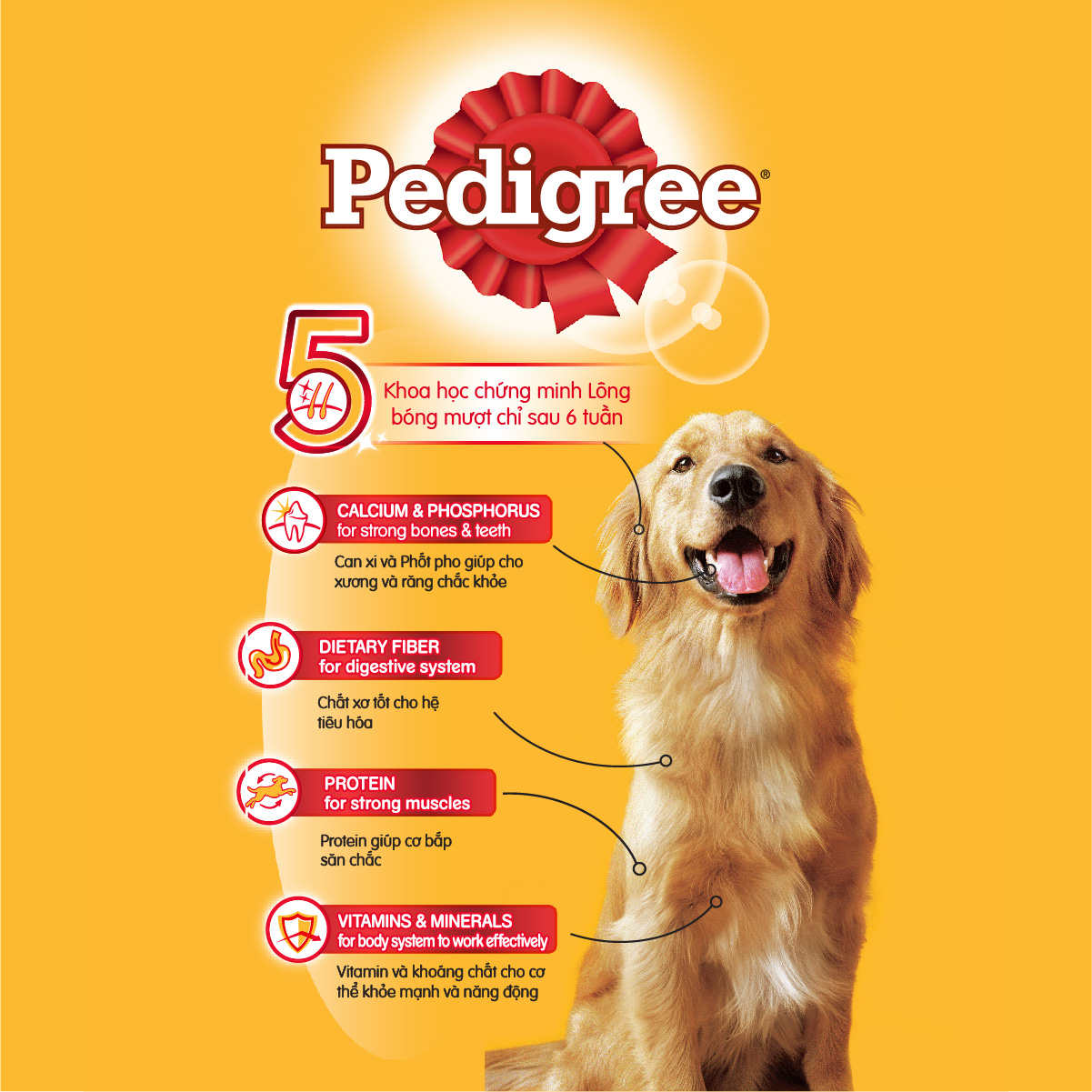 Thức ăn chó Pedigree vị thịt bò & rau củ túi 3kg