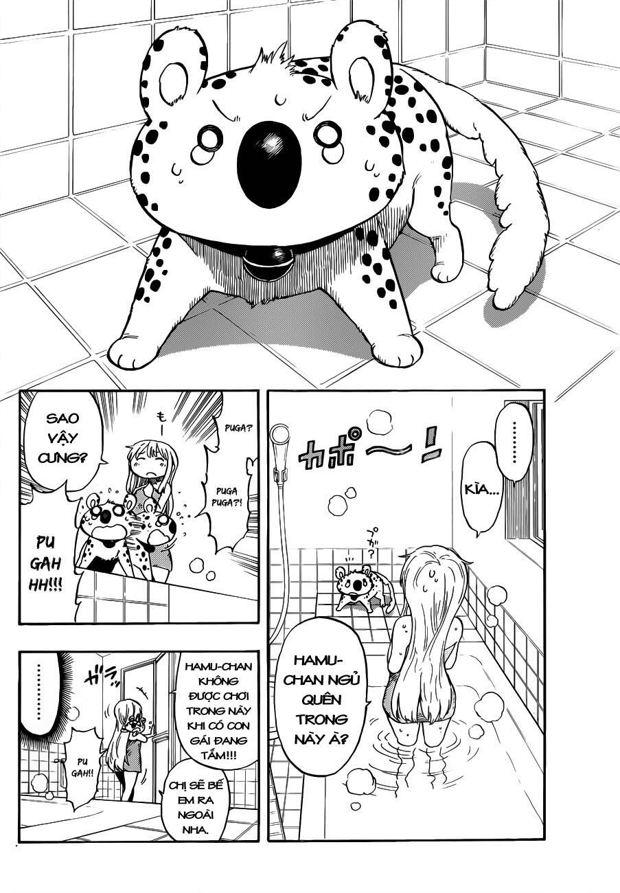 anagle mole chapter 3 23