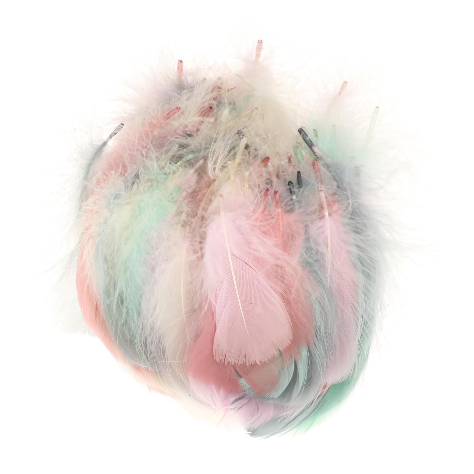 200Pcs  Feather Colorful Feathers for Festivals Party Decorations