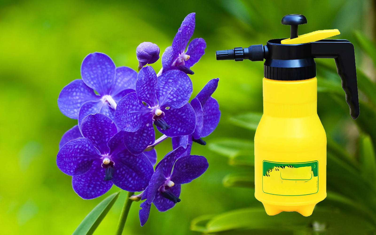 Bình Tưới Cây Dudaco 2 lít tưới cây cho hoa kiểng rau sạch