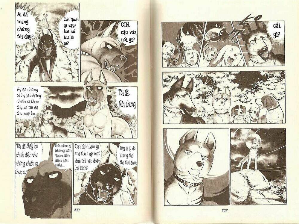 chú chó có nghĩa - ginga nagareboshi gin chapter 11 6