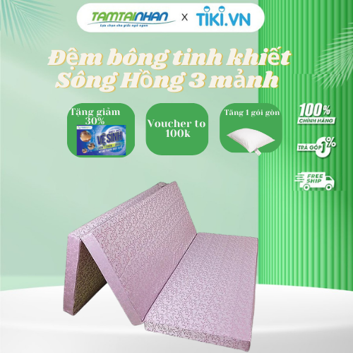 Đệm bông tinh khiết Sông Hồng 3 mảnh gấm - Giao màu ngẫu nhiên