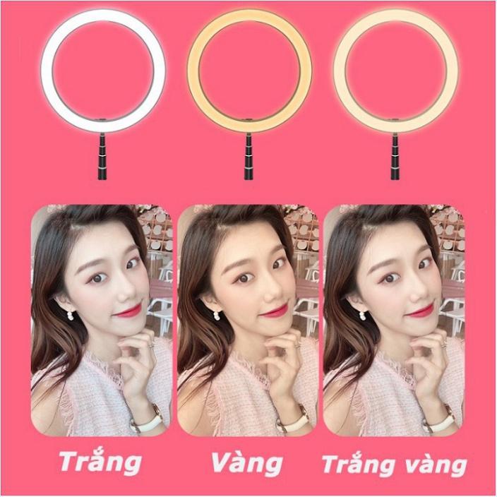Đèn Livestream Size 26cm, Giá Đỡ Điện Thoại Live Stream Online, Make Up Chụp Ảnh Studio Model 2020
