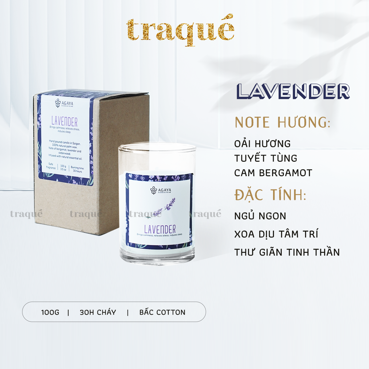 Nến thơm Candle Cup/Agaya - Hương Hoa LAVENDER