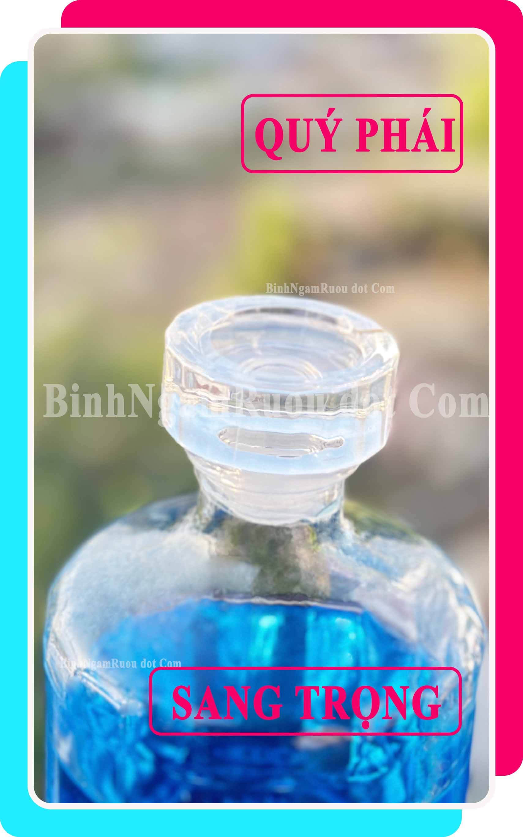 C44 Chai Đựng Rượu Thủy Tinh Hibiki Cao Cấp 500ml - Đẹp Cao Cấp - Nắp Kín Thủy Tinh Trong - Tặng Biếu Sang Trọng