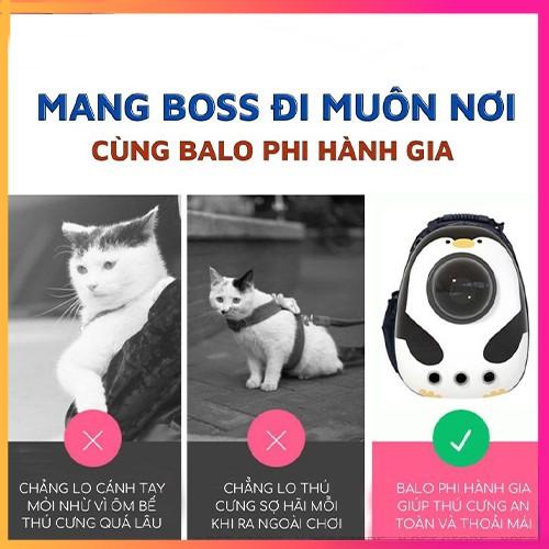 Balo thú cưng 10kg chó mèo giá rẻ địu phi hàng gia trong suốt, Balo vận chuyển chó mèo trong suốt thời trang