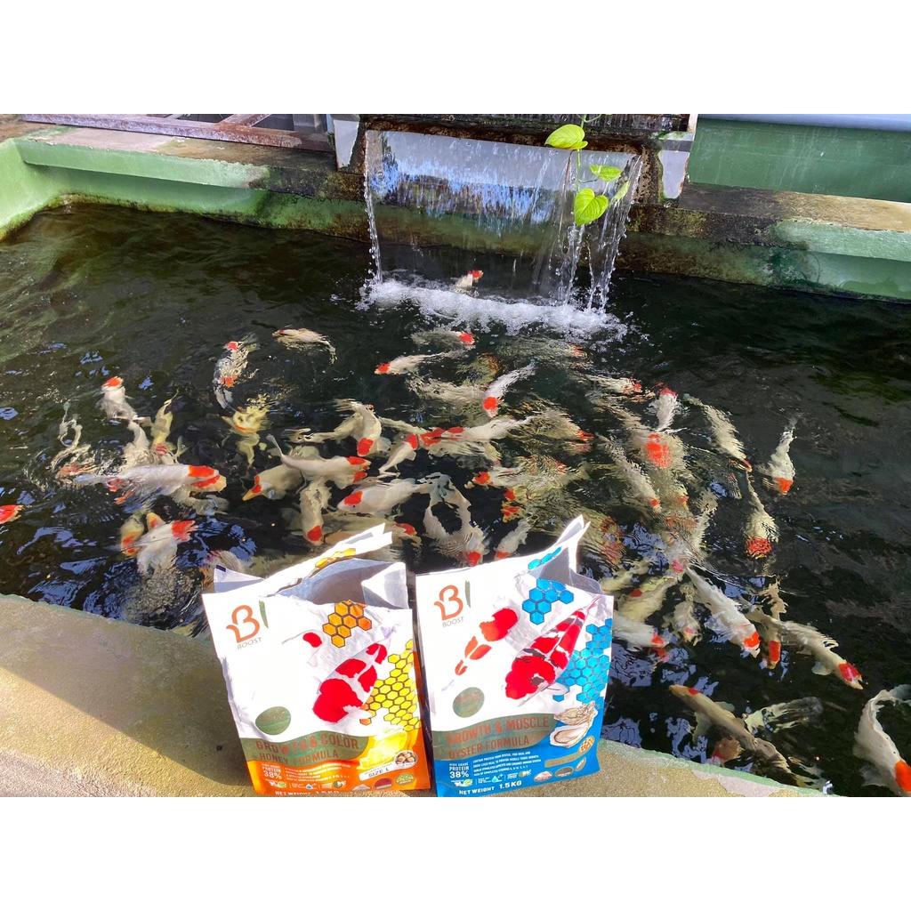 Cám Bost Koi boost koi Muscle Growth and Color Honey Formula bao 6,5kg pp bởi sakura koi