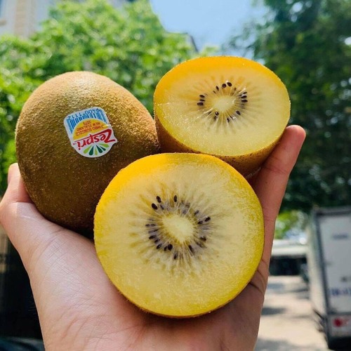 CÂY GIỐNG KIWI