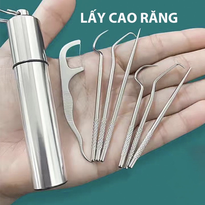 Bộ Dụng Cụ Làm Sạch Răng Miệng Bằng Inox Có Ống Đựng Inox Tiện Lợi