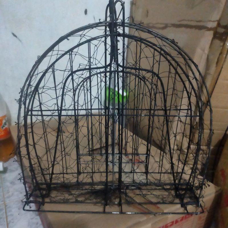 Mẹt bẫy chim treo cây và để đất bẫy bìm bịp