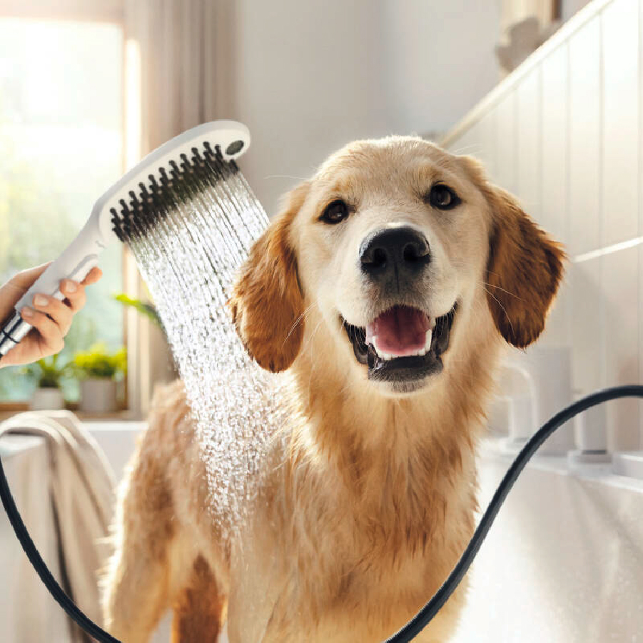 Tay sen tắm dành cho thú cưng HANSGROHE DogShower 150 3jet 26640 - Hàng chính hãng