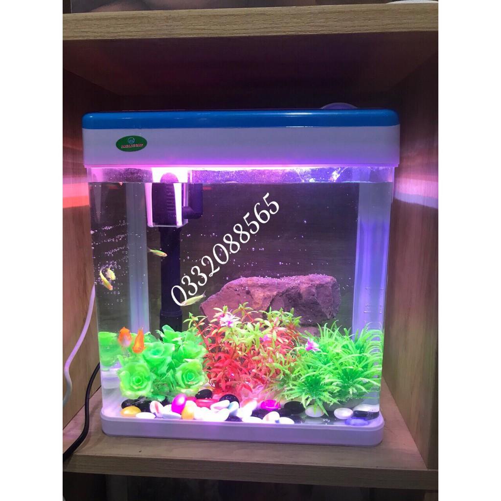 Bộ bể cá văn phòng MJ 260, bể đúc mini phù hợp trang trí trong nhà và nơi làm việc tặng kèm 1 túi sỏi thủy tinh