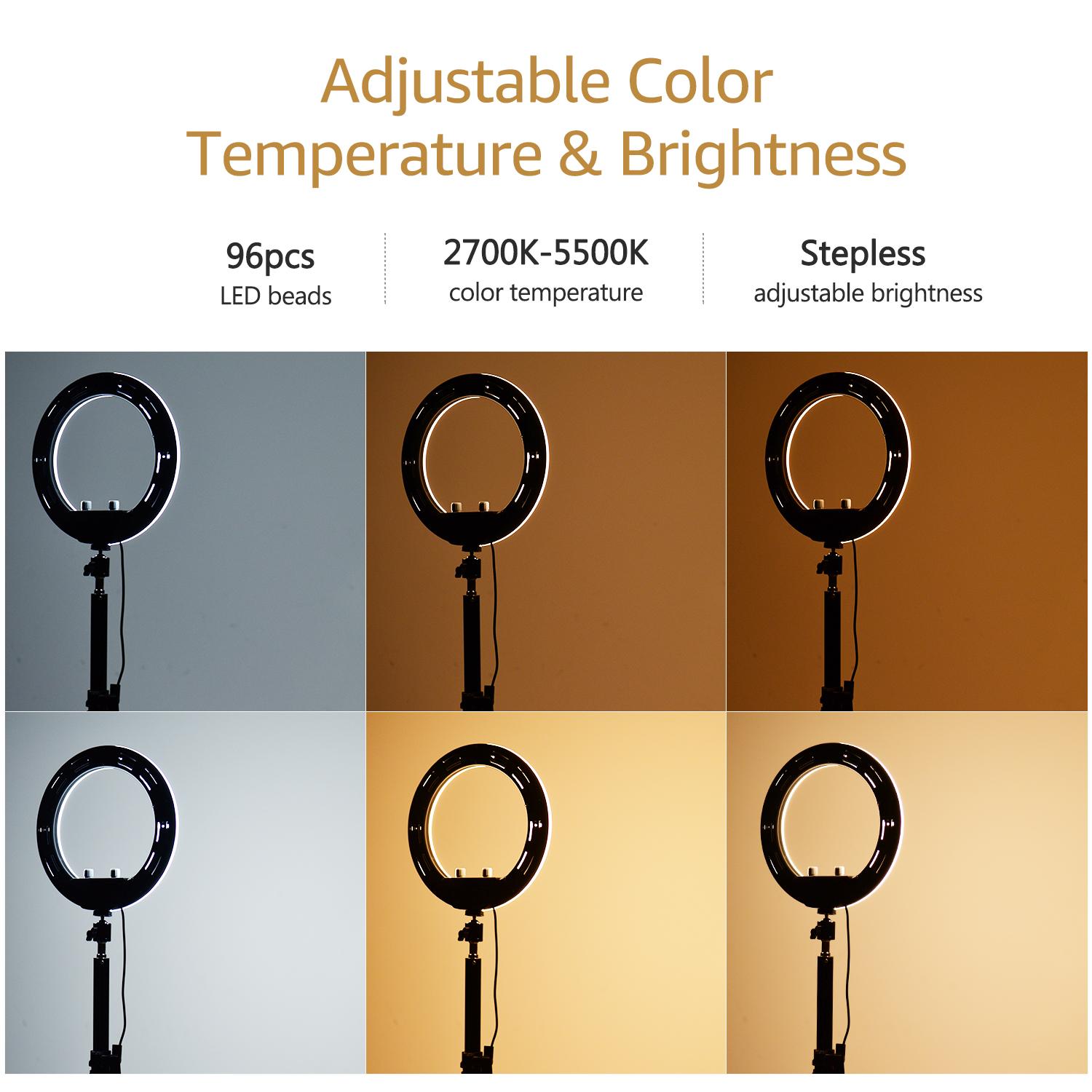 Đèn chụp ảnh 10 inch LED Ring Light 2700K-5500K Có thể thay đổi độ sáng 10W 5V USB được hỗ trợ với giá đỡ điện thoại có chân đế để bàn