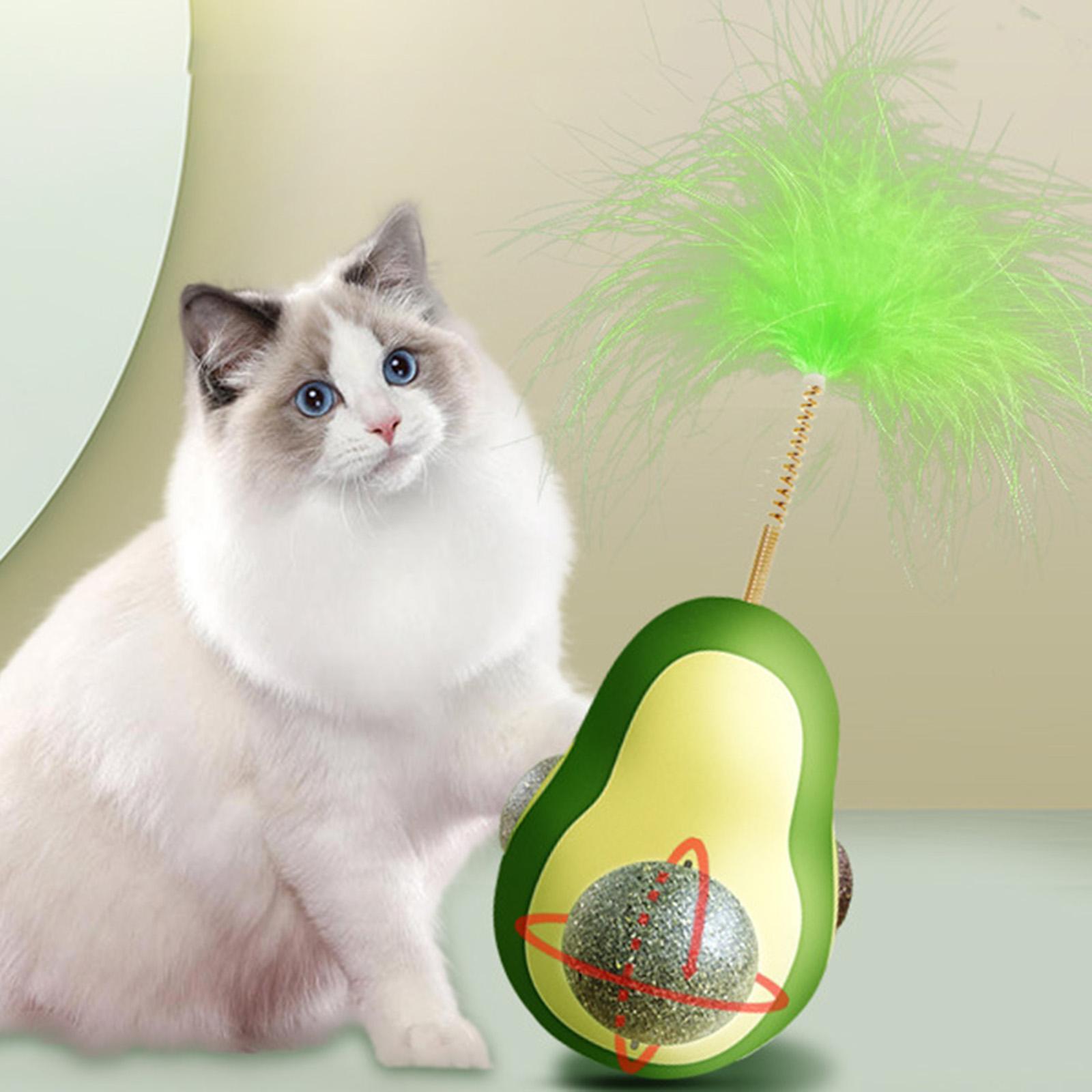 Shape Catnip Balls Tumbler Cat Gift Cat Toys for Indoor Cats Feather Cat Teaser Interactive Toy for Kitten Dog Cat Pet Exercise Toy