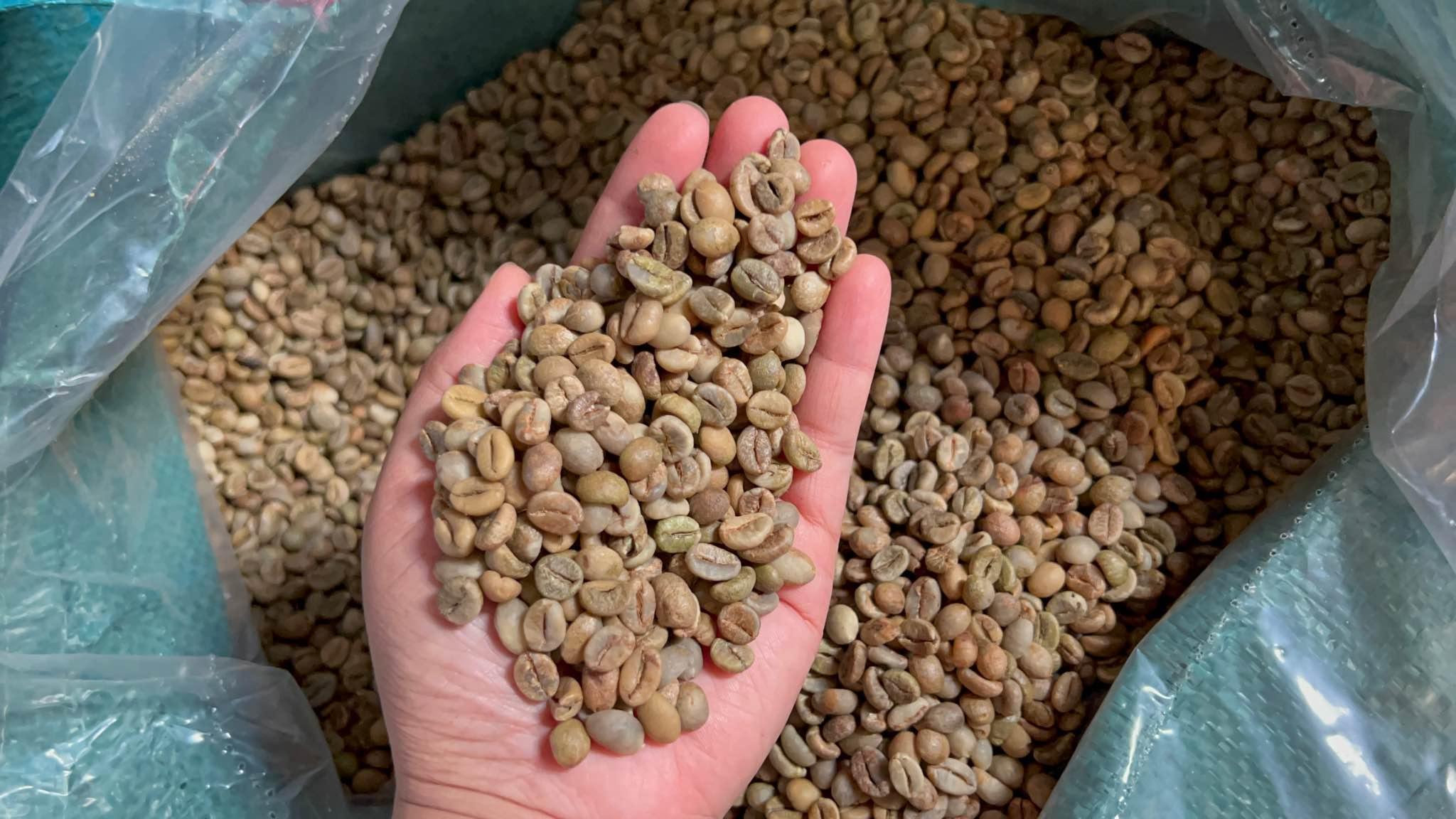 Set 30kg cà phê nhân robusta