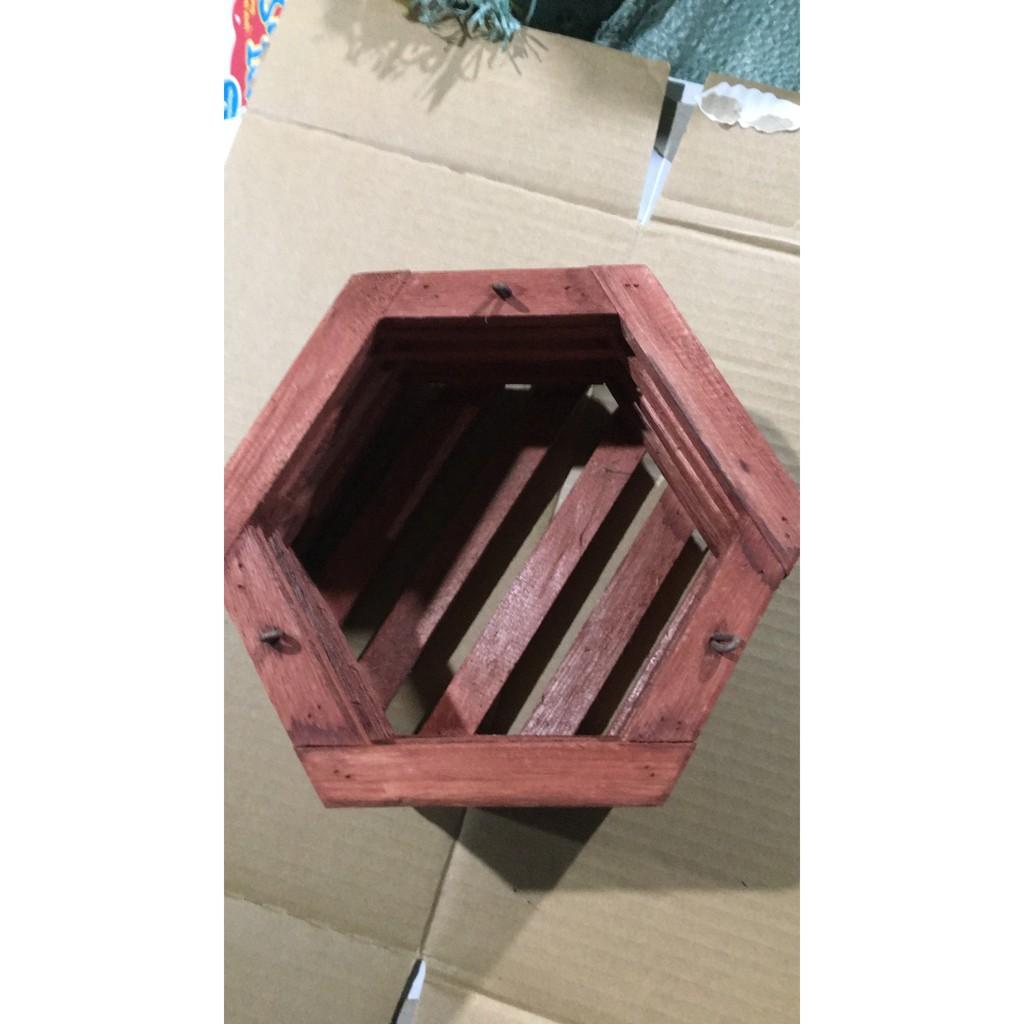 COM BO 2 chậu lục giác gỗ sao đỏ