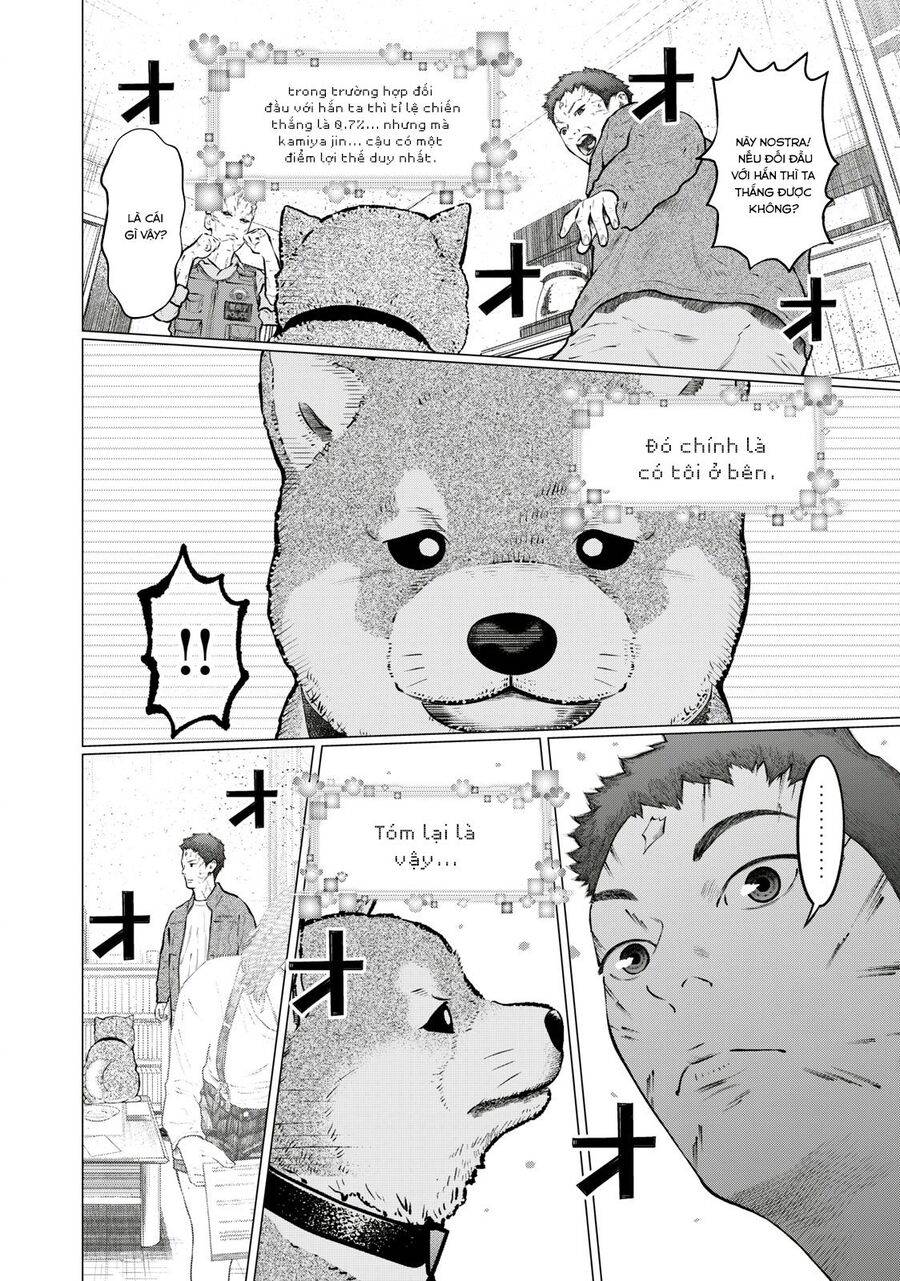 mật danh: nostra chapter 21 10