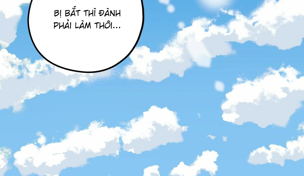chàng dâu nhà họ kang chapter 30 80